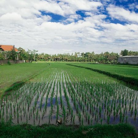 Canang Sari House Ubud Esterno foto